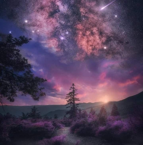 Meet your Posher, Sandy - Picture 1 of 1